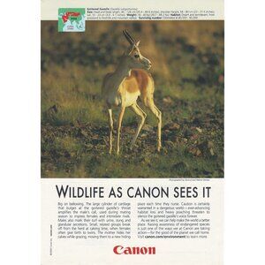 2009 Canon Camera Photography Full Page Print Ad Original Deer in Woods u